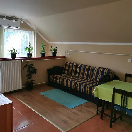 Napsugár Kistolmacs